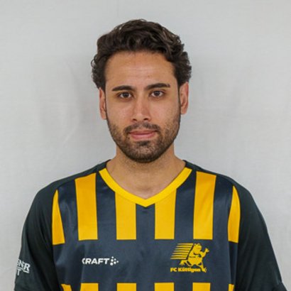 Amir Ahmadi Seyed